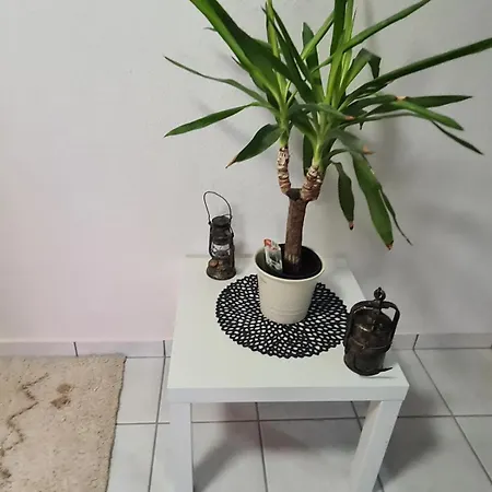 Haus Kurtrier Apartamento *