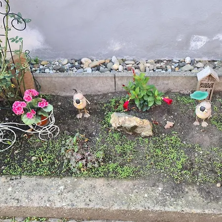 Apartamento Haus Kurtrier