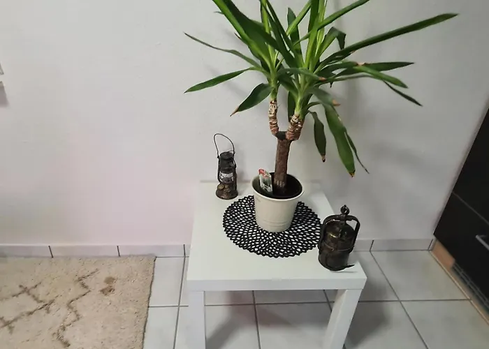 Haus Kurtrier Appartamento *